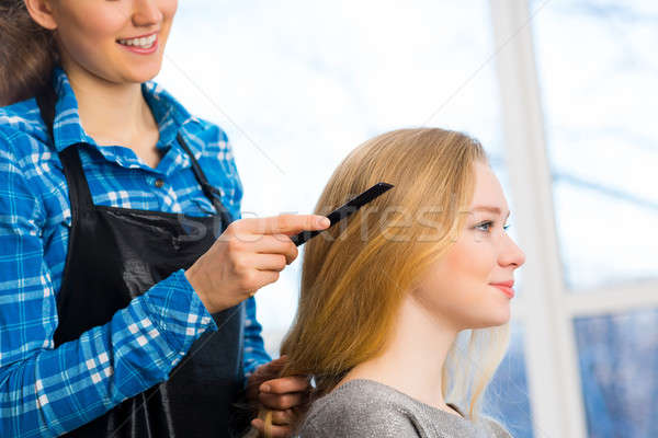 Stock photo: hairdresser and client