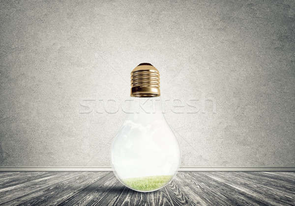 Light bulb in room Stock photo © adam121