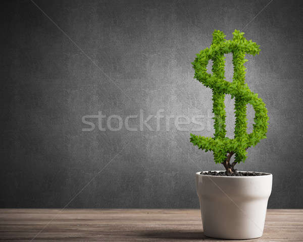 Concept of investment income and growth with money tree in pot Stock photo © adam121