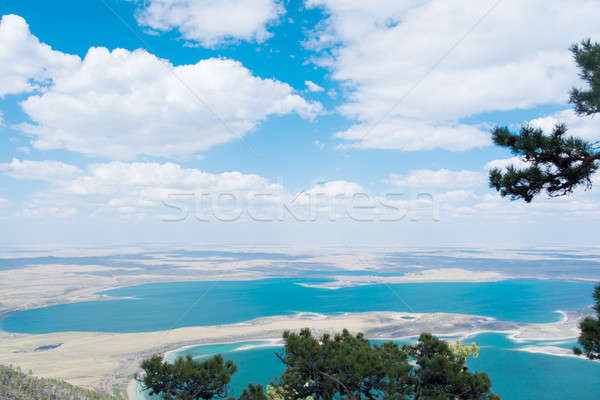 Kazakistan resmedilmeye değer doğal manzara mavi ağaç Stok fotoğraf © adam121