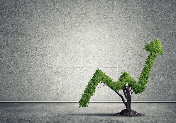 Imagine de stoc: Investitie · venituri · piaţă · creştere · succes