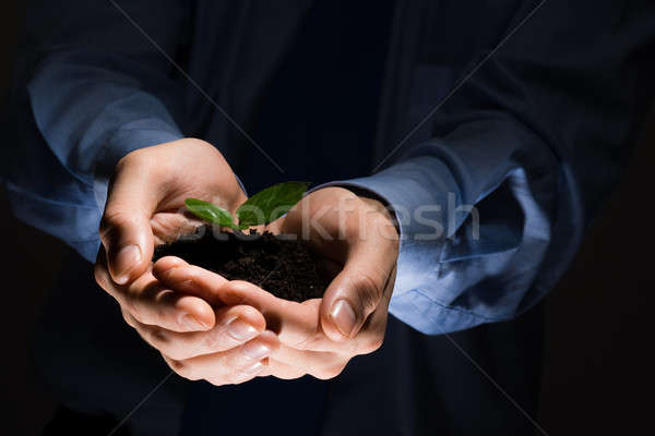 Stock photo: Sprout in hands