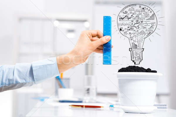 Invest and grow your income Stock photo © adam121