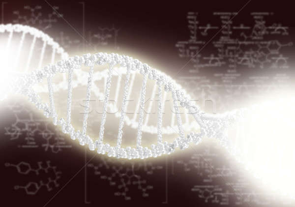 DNA helix against the colored background Stock photo © adam121