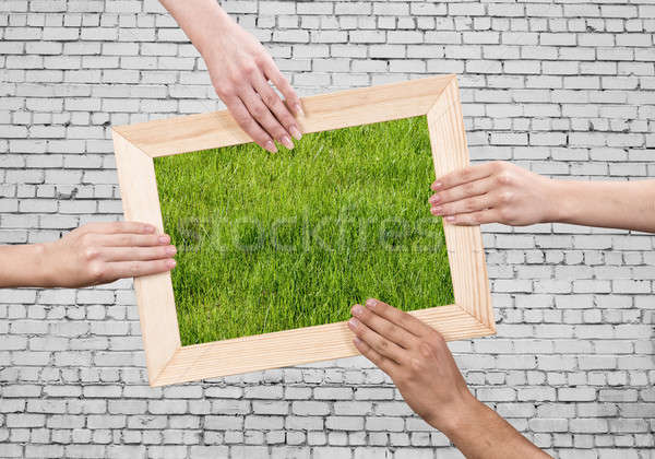 Frame with grass Stock photo © adam121