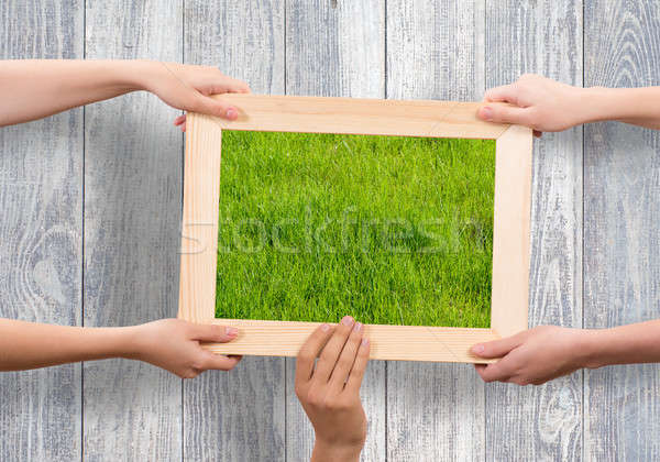 Frame with grass Stock photo © adam121