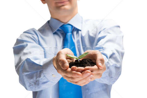 Sprout in hands Stock photo © adam121