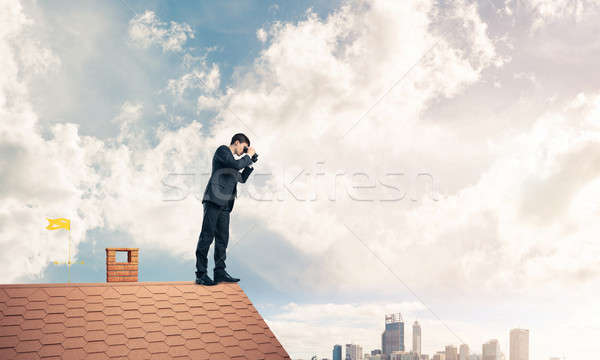 Senhor patrão tijolo telhado pesquisar algo Foto stock © adam121