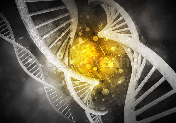 Zdjęcia stock: DNA · cząsteczki · 3D · obraz · badań