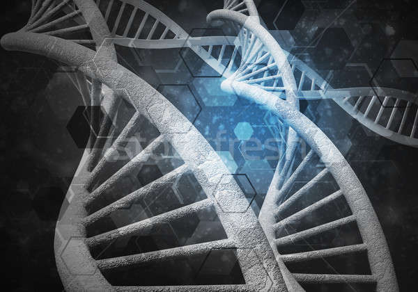 Stok fotoğraf: DNA · 3D · görüntü · araştırma