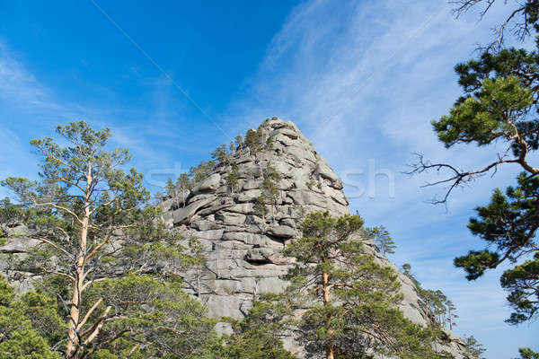 カザフスタン 山 絵のように美しい 自然 風景 緑 ストックフォト © adam121