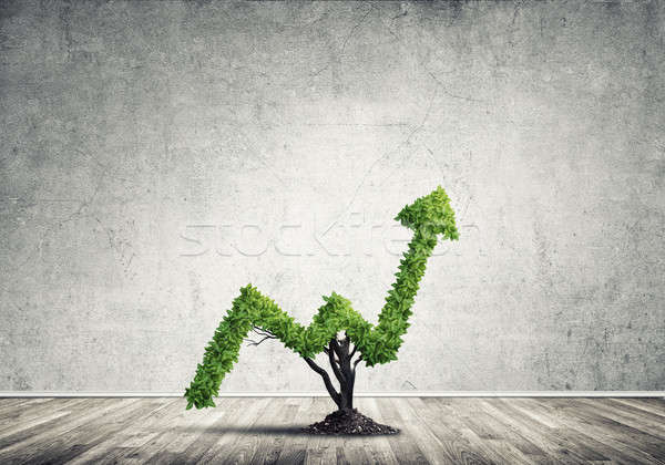 Stockfoto: Investering · inkomen · markt · groei · succes