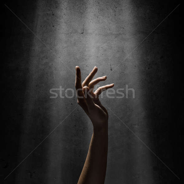 woman's hand reaches for the light rays Stock photo © adam121