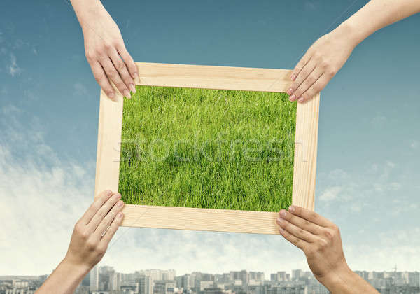 Frame with grass Stock photo © adam121