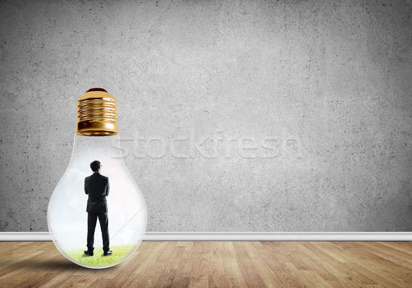 Geschäftsmann gefangen Glühbirne innerhalb Glühlampe leer Stock foto © adam121
