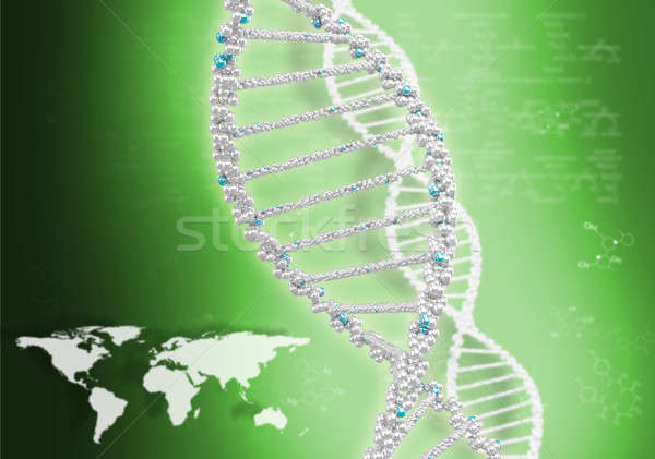 DNA helix against the colored background Stock photo © adam121