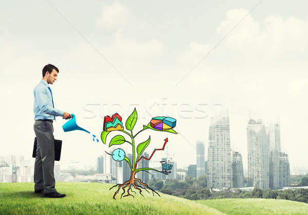 Jungen Geschäftsmann Freien Bewässerung gezeichnet Wachstum Stock foto © adam121