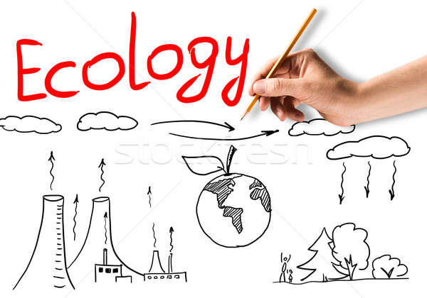 Ecology Concept Stock photo © adam121
