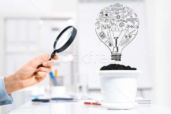 Invest and grow your income Stock photo © adam121