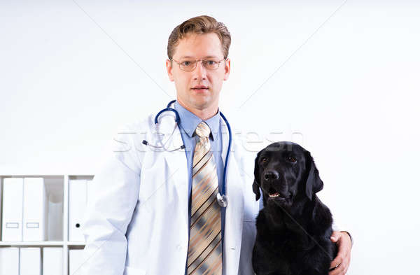 portrait of a veterinarian Stock photo © adam121