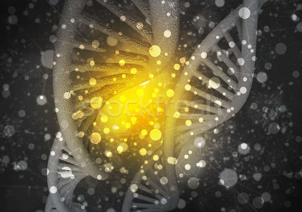 Dna moleculen 3D afbeelding onderzoek Stockfoto © adam121