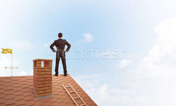 Stock photo: Mister boss on brick roof with arms akimbo. Mixed media