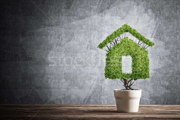 Stock photo: Concept of ecology recycling and eco construction with plant in pot