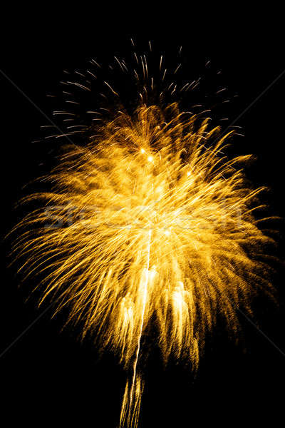 Focuri de artificii frumos întuneric cer fericit lumina Imagine de stoc © adam121