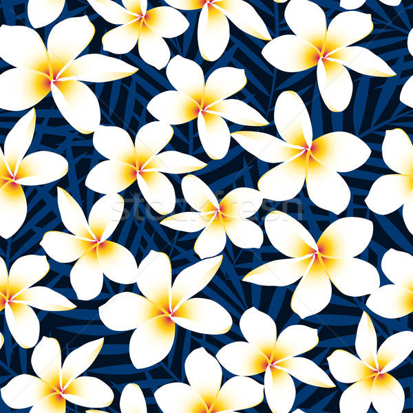 Tropical white frangipani plumeria flower seamless pattern Stock photo © adamfaheydesigns