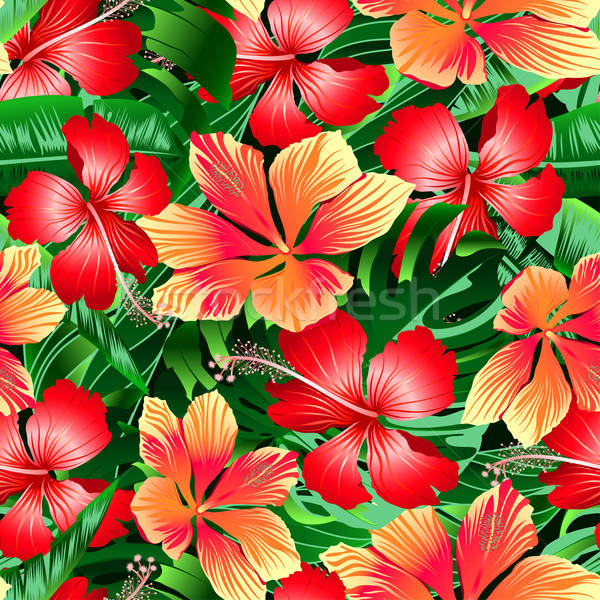 Tropical orange and red variegated hibiscus flowers seamless pat Stock photo © adamfaheydesigns