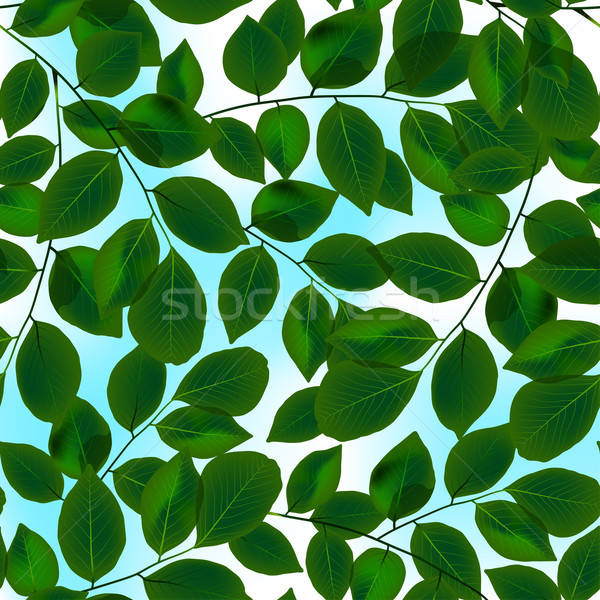Green leaves canopy and sky in a seamless pattern Stock photo © adamfaheydesigns