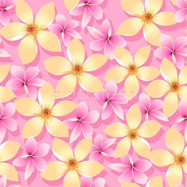 Сток-фото: розовый · оранжевый · тропические · цветы · цветок