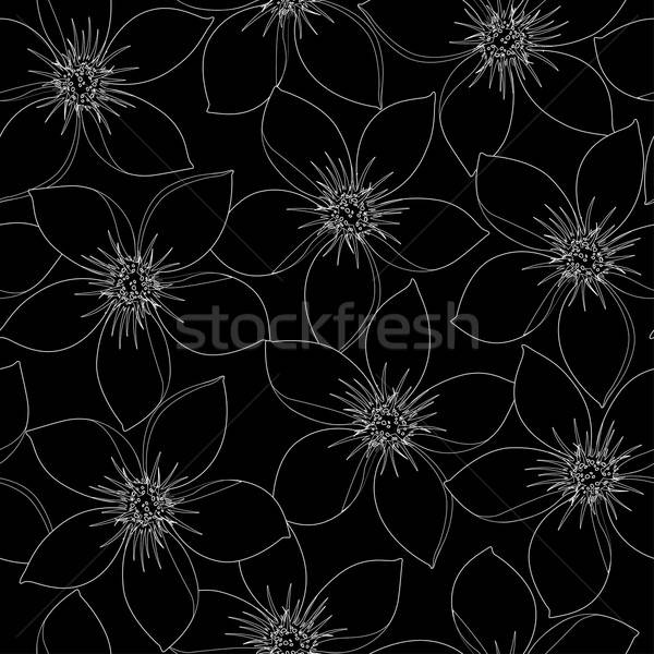 Foto stock: Tropicales · blanco · negro · hibisco · floral