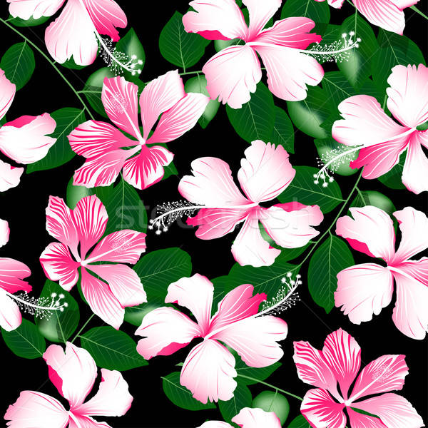 [[stock_photo]]: Rose · tropicales · hibiscus · fleurs · fleur
