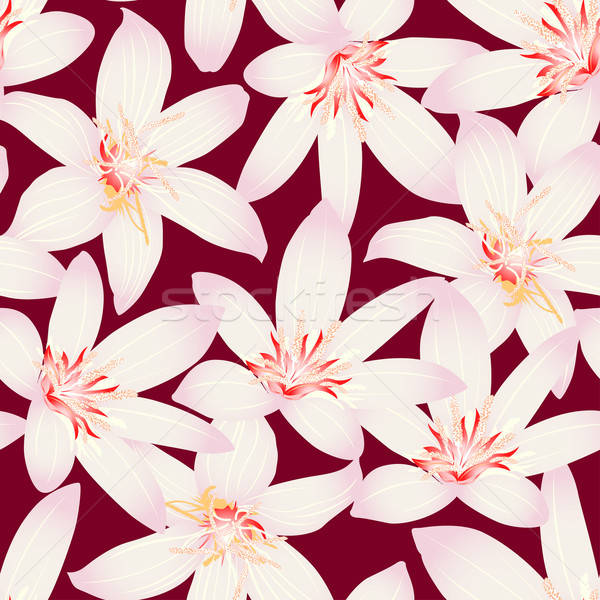 Biały tropikalnych hibiscus kwiatowy projektu Zdjęcia stock © adamfaheydesigns