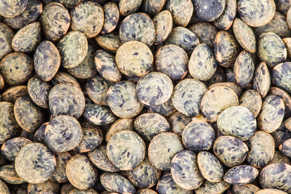 Extreme Closeup Texture of french Green Lentils Stock photo © aetb