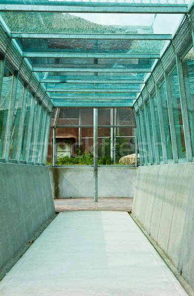 Stock photo: Glass tunnel
