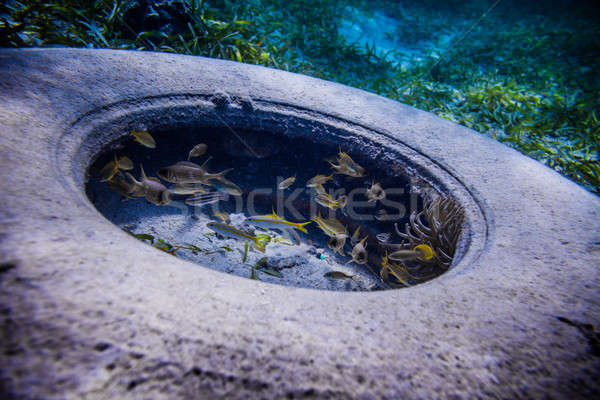 Tire Found Underwater Stock photo © aetb