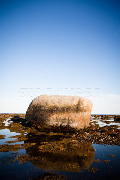 Stones in water Stock photo © aetb