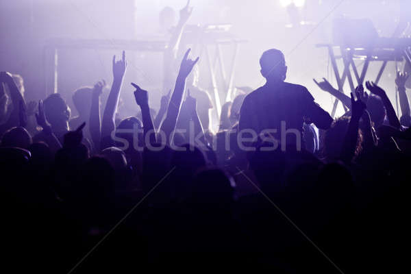 Rock rotolare bene folla grande show Foto d'archivio © aetb