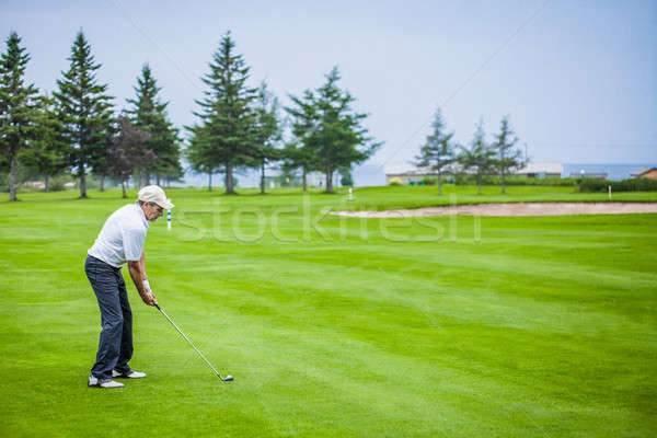 Reifen Golfer Golfplatz bereit Sport grünen Stock foto © aetb