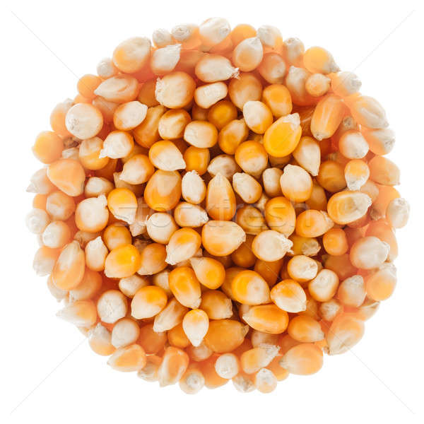 Perfect Circle of Corn Seeds Isolated on White Stock photo © aetb