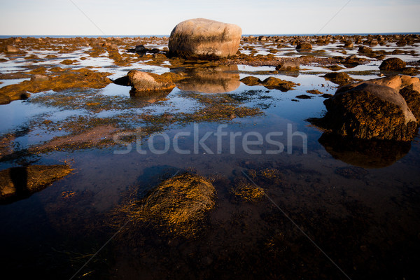 Stones in water Stock photo © aetb