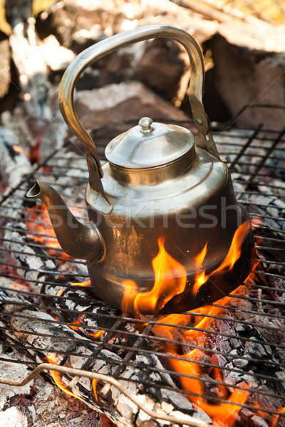 Kettle with water heated on the fire Stock photo © aetb
