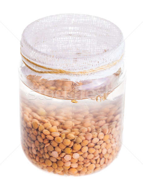 Top View of Soaked Sprouting Lentils Stock photo © aetb