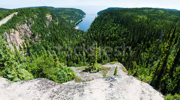 視圖 懸崖 水 木 太陽 性質 商業照片 © aetb