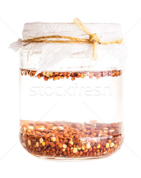 Soaked Sprouting radish Seeds Stock photo © aetb