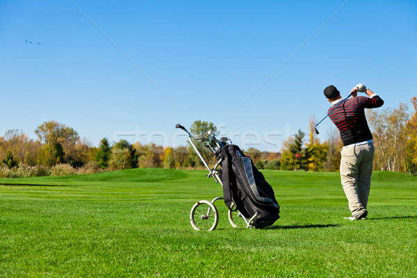 Uomo giocare golf bella giorno erba Foto d'archivio © aetb
