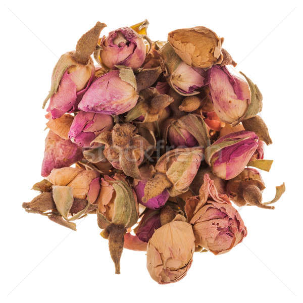 Roses Tea Bud Stock photo © aetb