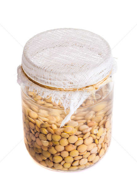 Top View of Soaked Sprouting  Lentils Stock photo © aetb